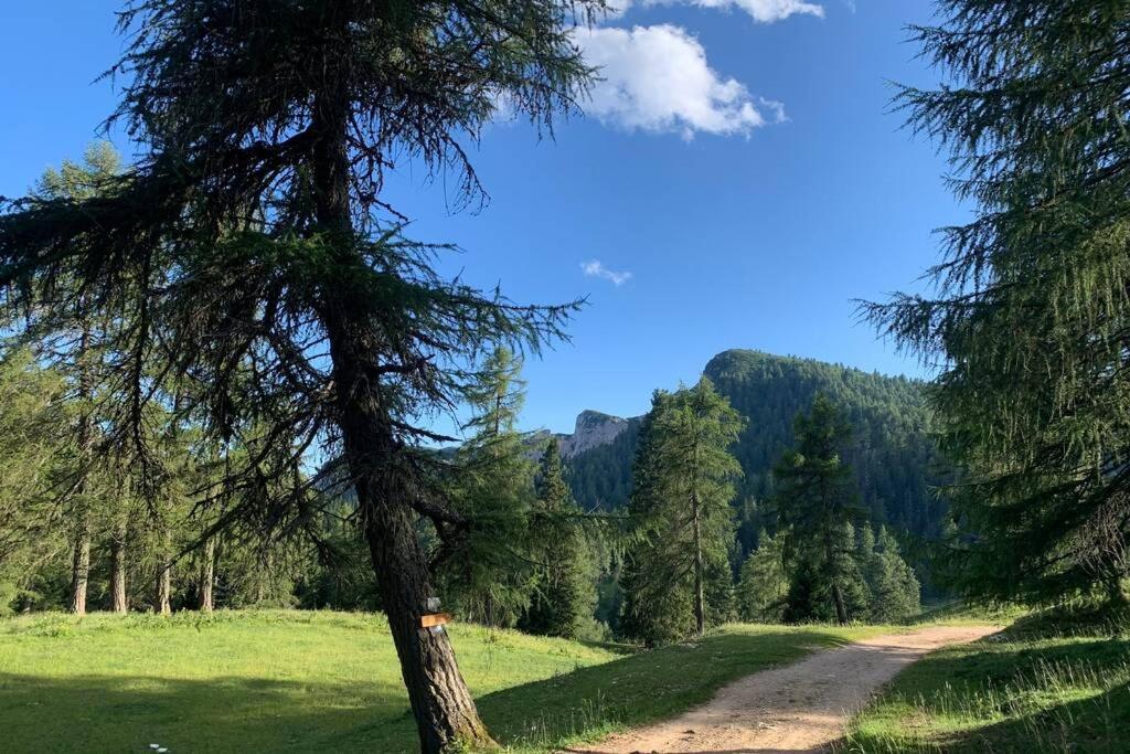 Residence Bellavista Fondo Zewnętrze zdjęcie