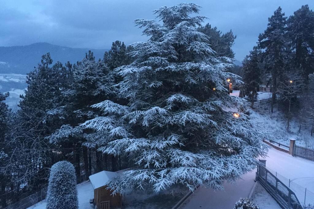 Residence Bellavista Fondo Zewnętrze zdjęcie